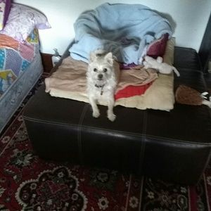 Meet your Posher, Ramona